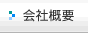 ЊTv